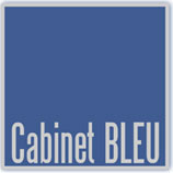 Logo-Bleu